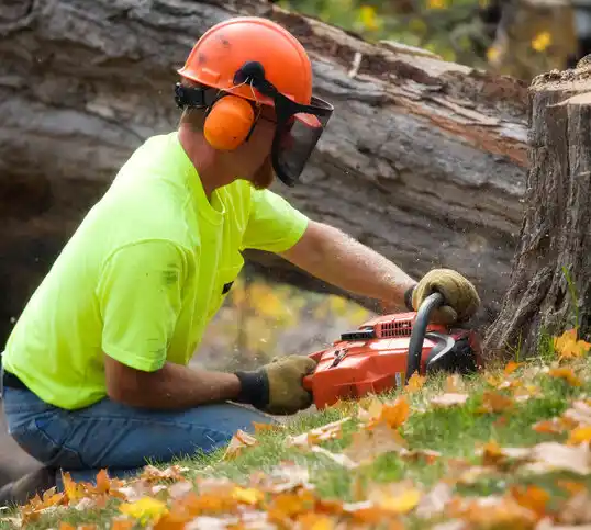 tree services West Cape May